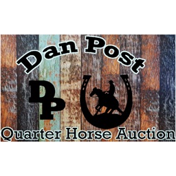 Dan Post Quarter Horse Auction