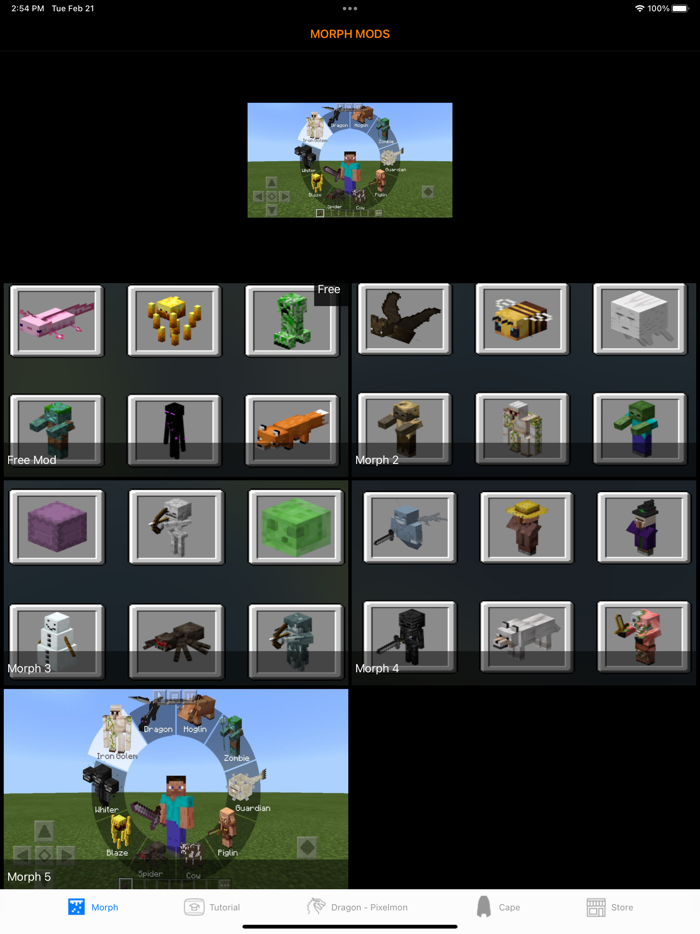 Morph mods for Minecraft
