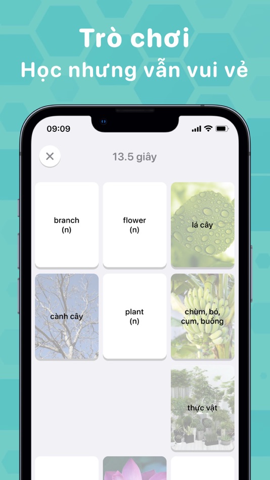 #8. Bloom: Học Tiếng Anh & Từ Vựng (iOS) 由: Dang Nguyen