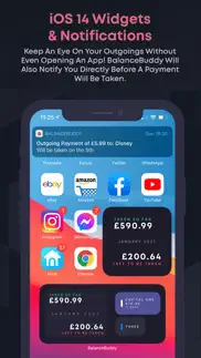 balancebuddy: money management iphone screenshot 2