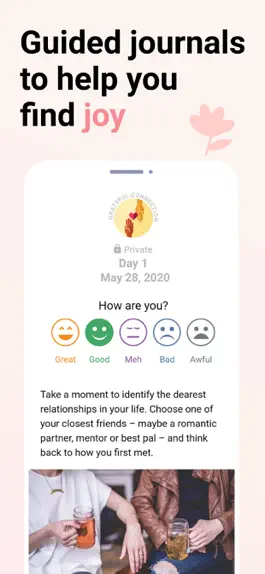 Game screenshot Gratitude Journal 365 apk