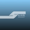 Slavik Management icon