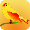 鸟类大全 - iPadアプリ