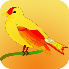 屏幕截图 (3) 鸟类大全