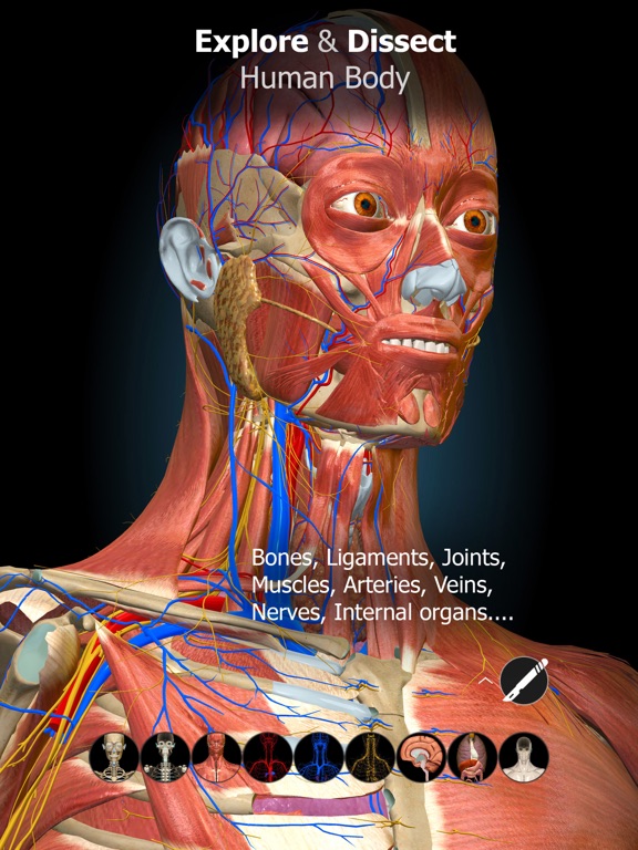 Anatomy Learning - 3D Anatomy screenshot 3