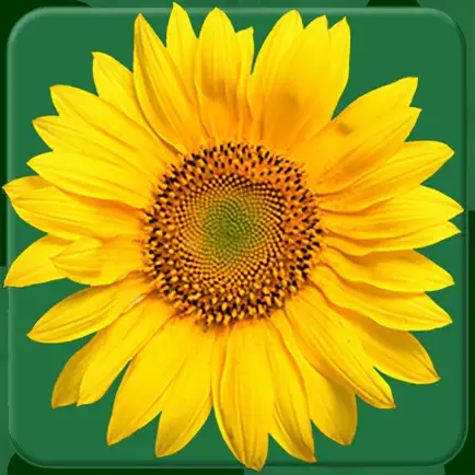 Calflora Observer Pro Читы