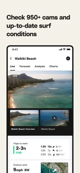 Game screenshot Surfline: Wave & Surf Reports hack