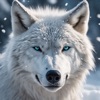 の 狼 シミュレーター 野生 人生 - iPadアプリ