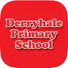 Derryhale PS problems & troubleshooting and solutions