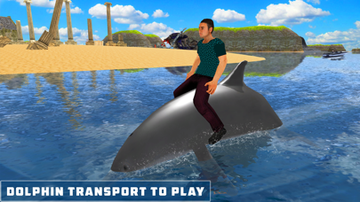 Dolphin Transport Game Screenshot