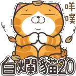 白爛貓20 五告秋 App Positive Reviews