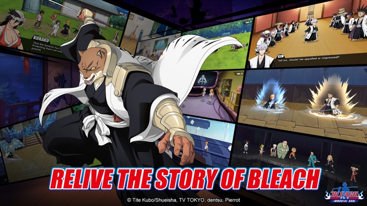 Bleach: Immortal Soul