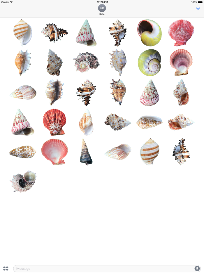 Shells