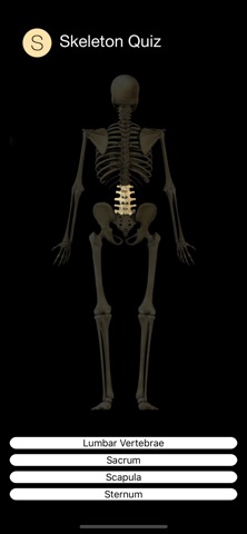 Human Skeleton Quizのおすすめ画像8