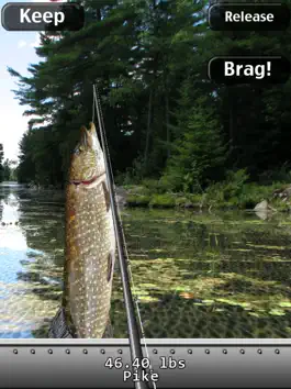 Game screenshot i Fishing HD apk