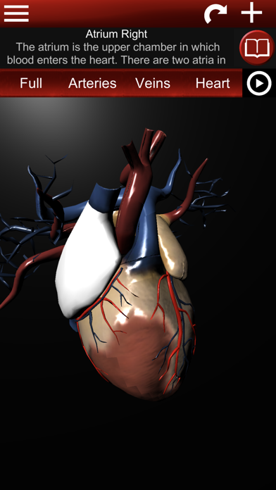 Circulatory System 3D Anatomy Screenshot