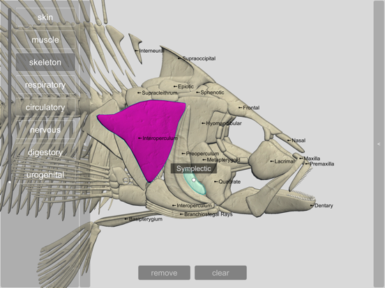 3D Fish Anatomy iPad screenshot