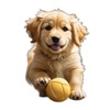 Golden Retriever Cute Stickers icon