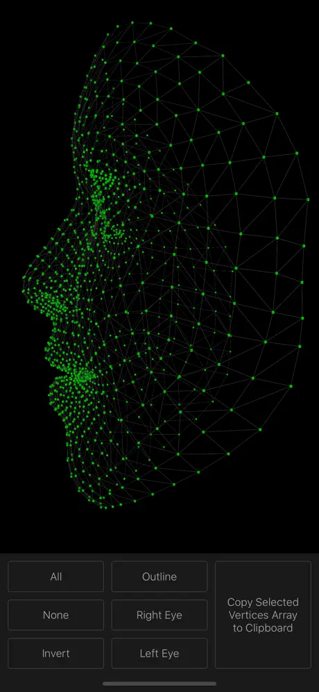 Face Mesh