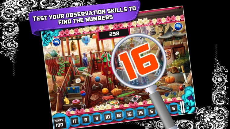 Hidden Numbers: Hidden Objects