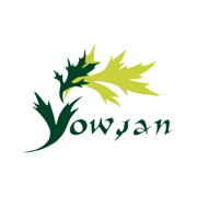 Ýowşan dermanhana