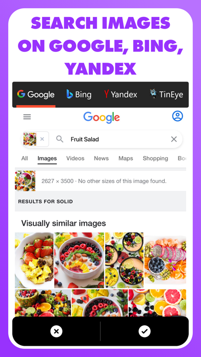 Reverse - Image Search Screenshot