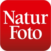 NaturFoto Avis