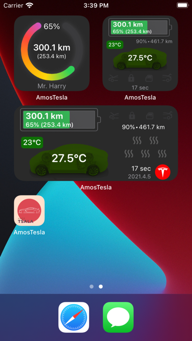 AmosCar for Tesla Screenshot