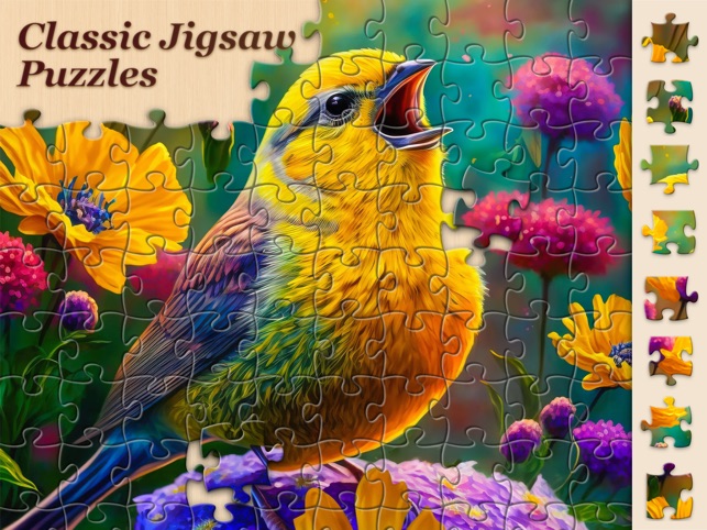 Jigsawscapes