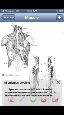 Anatomy Atlasのおすすめ画像1