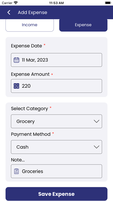 Income & Expense Tracker Screenshot