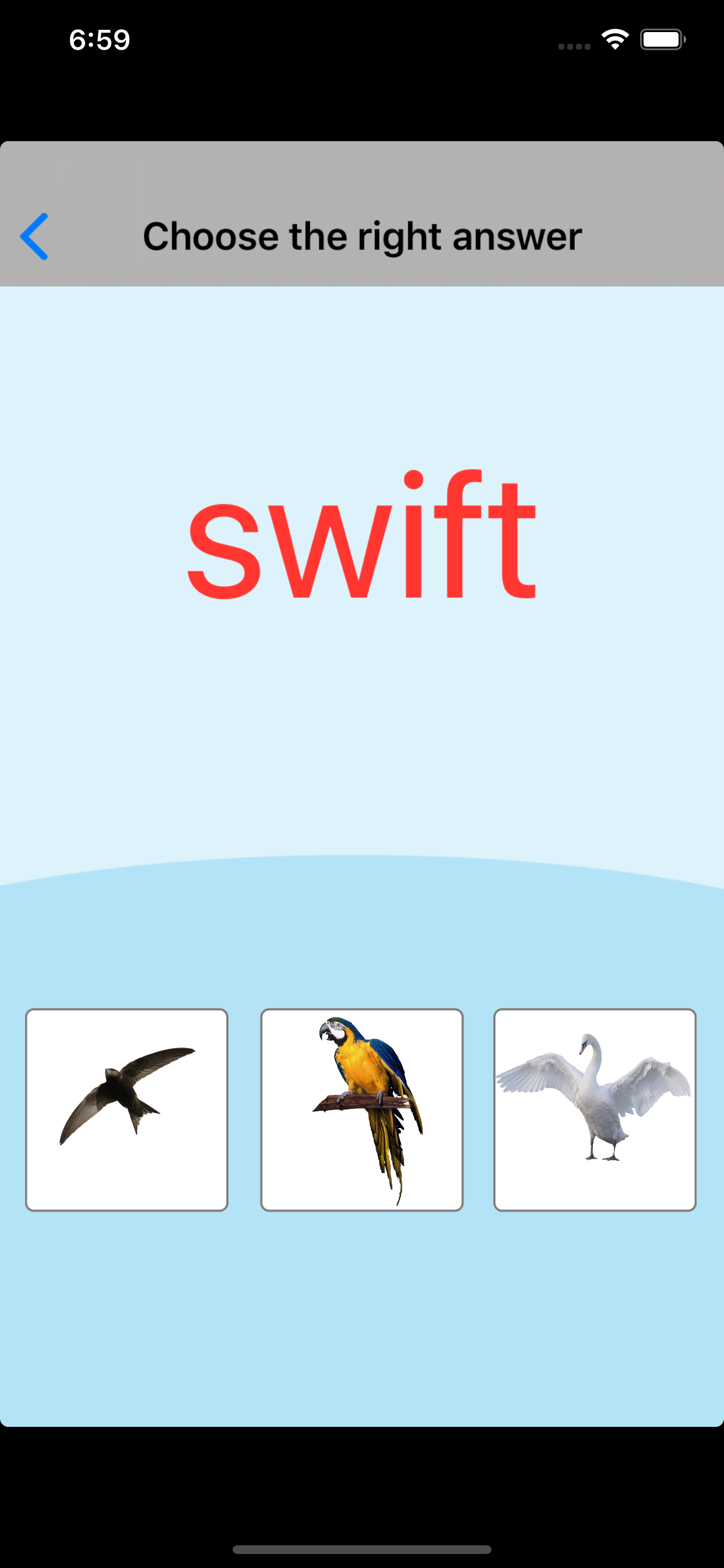 Birds Learning Cards screenshot 6