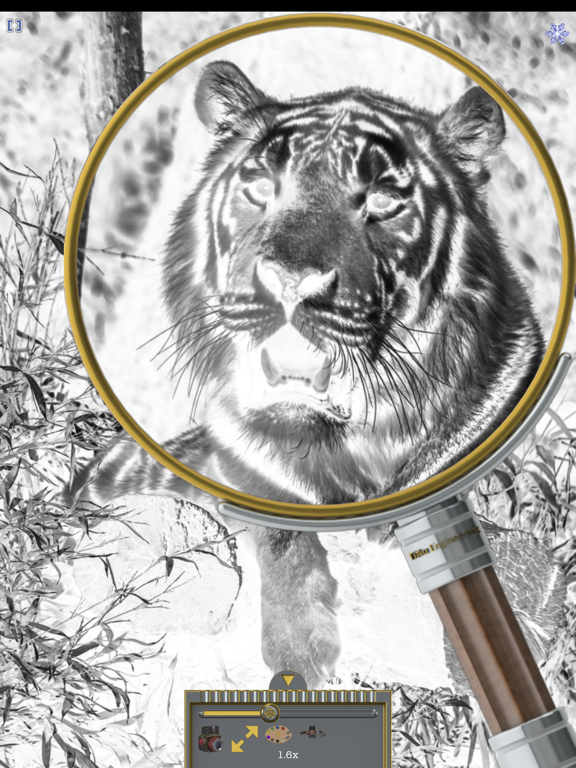 Magnifier (TiAu) LITE iPad screenshot