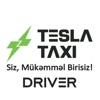 Tesla Taxi Driver