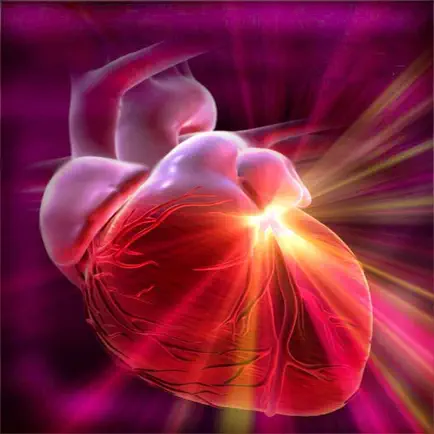 Cardiovascular System Trivia Cheats