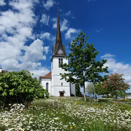 reformierte kirche gossau zh Cheats