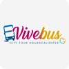 Vive Bus icon