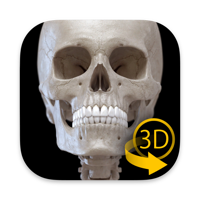 Skeleton 3D Anatomy logo