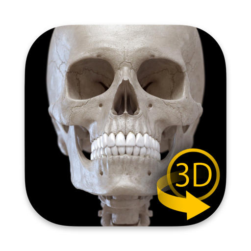 Skeleton 3D Anatomy icon