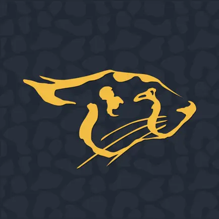 Cheetah Gym Personal Training Читы