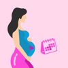 Pregnancy App and Baby Tracker icon