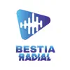 Bestia Radial problems & troubleshooting and solutions