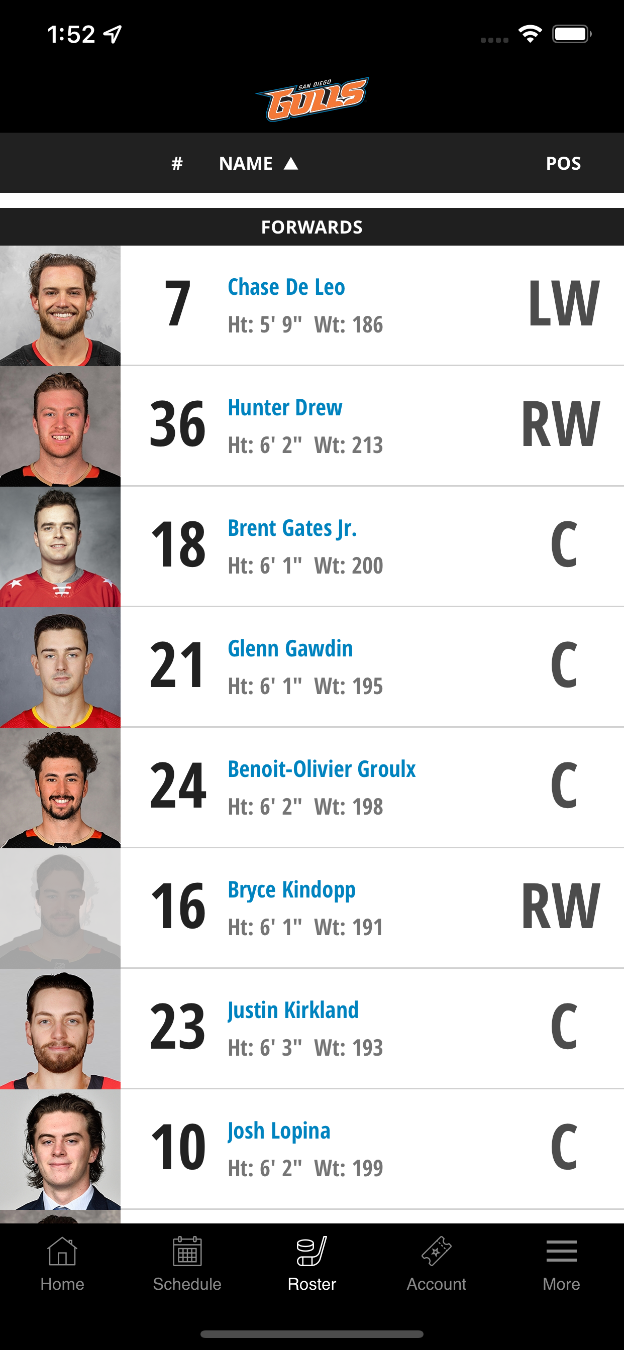 San Diego Gulls Hockey