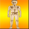 Body Parts Skeletal & Internal App Icon