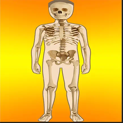 Body Parts Skeletal & Internal Читы