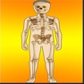 Get Body Parts Skeletal & Internal for iOS, iPhone, iPad Aso Report