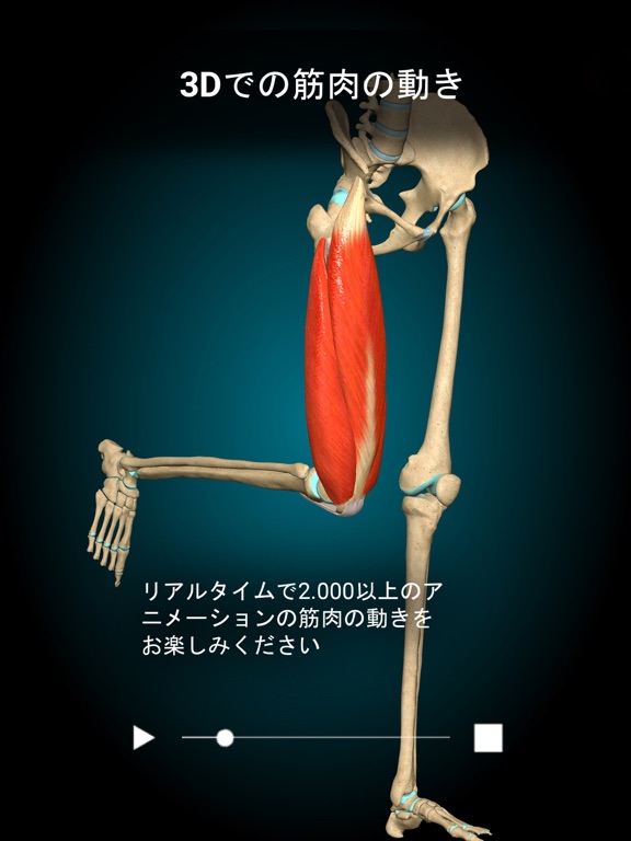 Anatomy Learning - 3Dアナトミーのおすすめ画像2