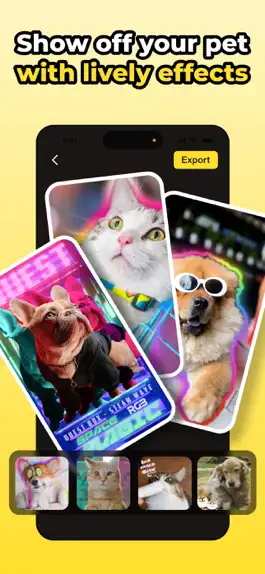 Game screenshot PawMemo-Pet Photo&Video Editor mod apk