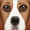 Ultimate Dog Simulator icon