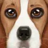 Ultimate Dog Simulator negative reviews, comments